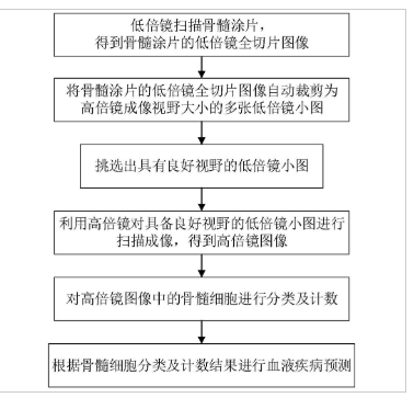 一种基于深度学习的骨髓细胞分类识别方法、装置及系统