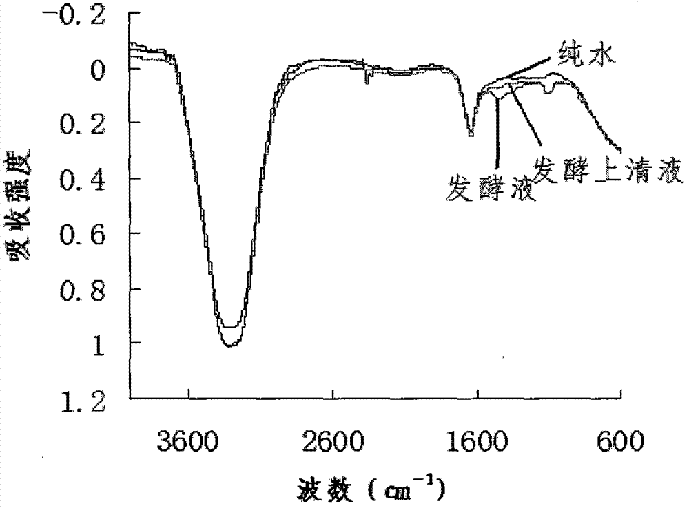 鸟苷发酵过程红外指纹图谱的构建方法