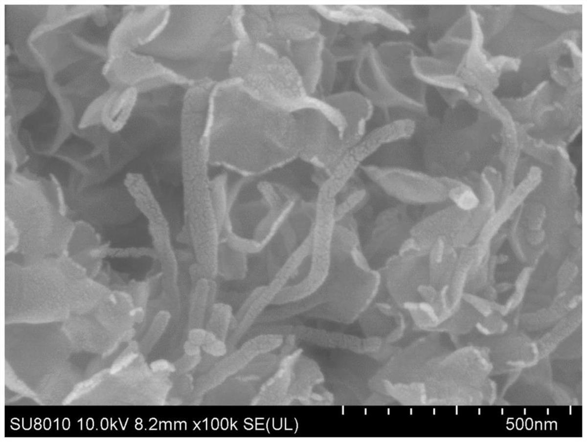 微生物燃料电池用阳极及其制备方法、微生物燃料电池