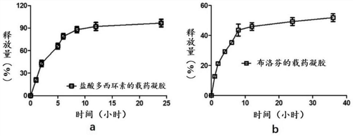 一种基于异斯特维醇的可注射型超分子水凝胶及其制备方法与应用