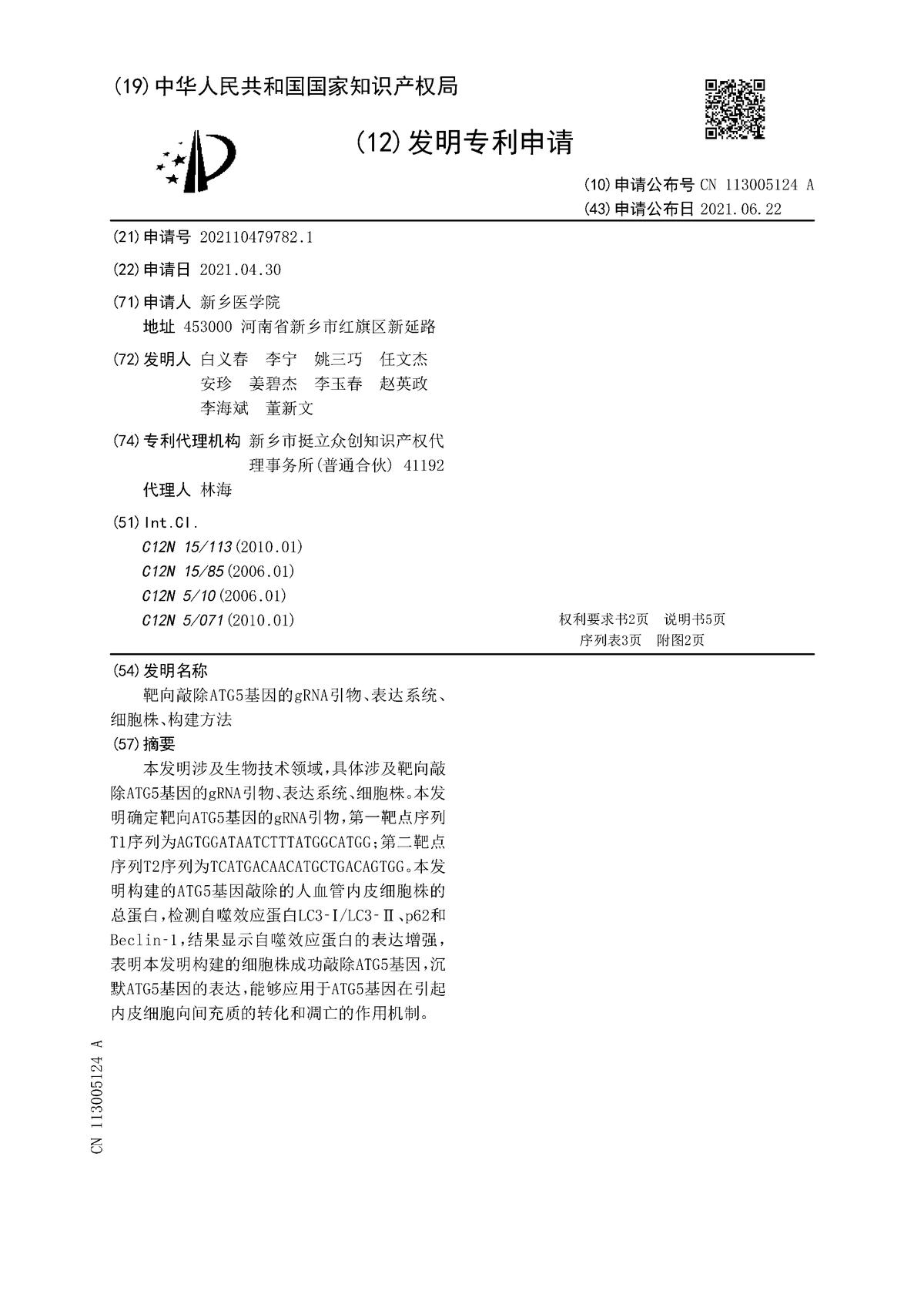 靶向敲除ATG5基因的gRNA引物、表达系统、细胞株、构建方法