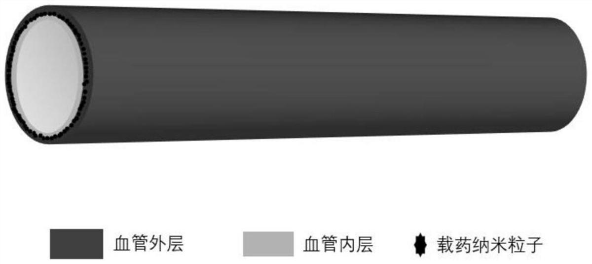 具有促内皮化及抗凝双功能的人工血管及制备方法、用途