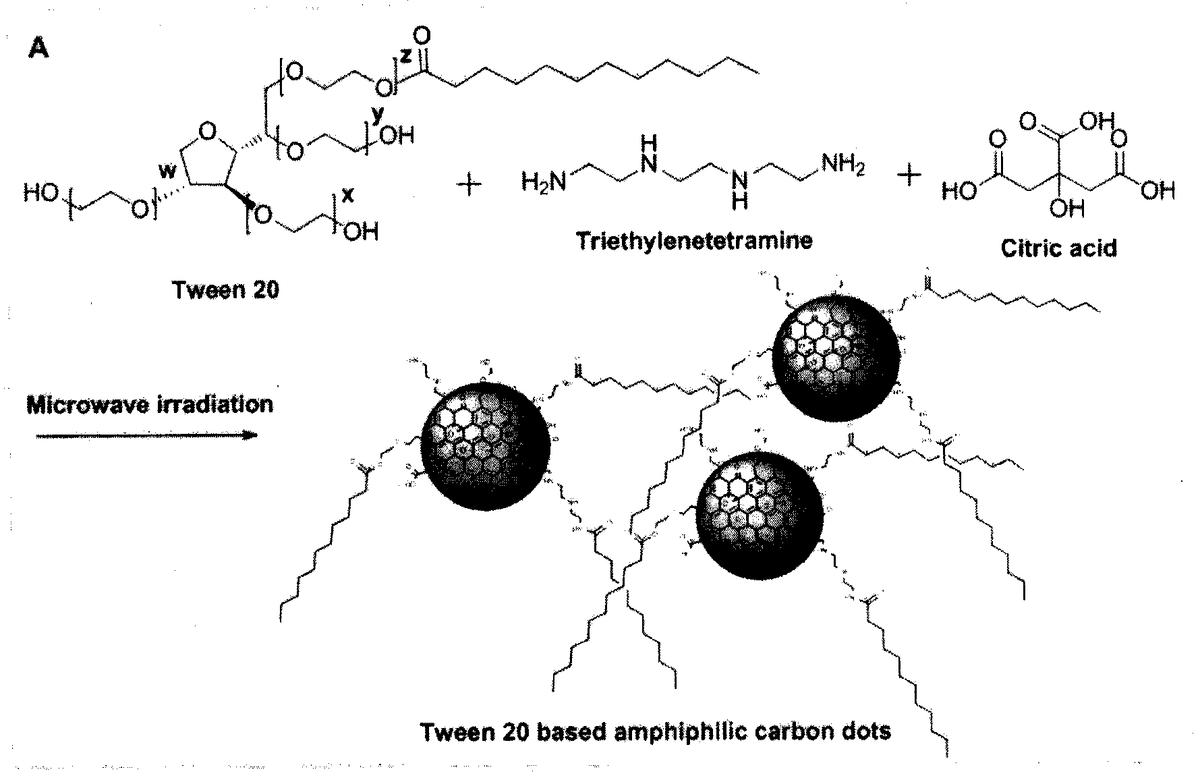 一种通过微波法快速合成两亲性碳量子点的制备方法