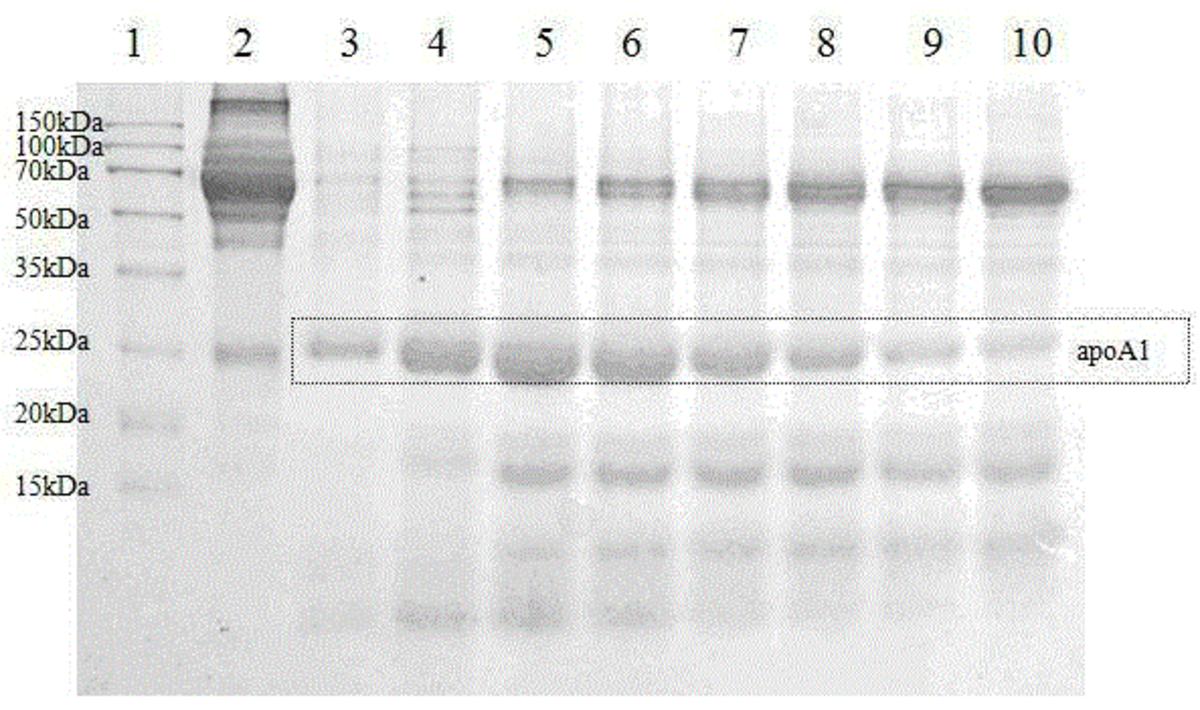 一种利用气相二氧化硅从人血浆中提取载脂蛋白A-1的方法