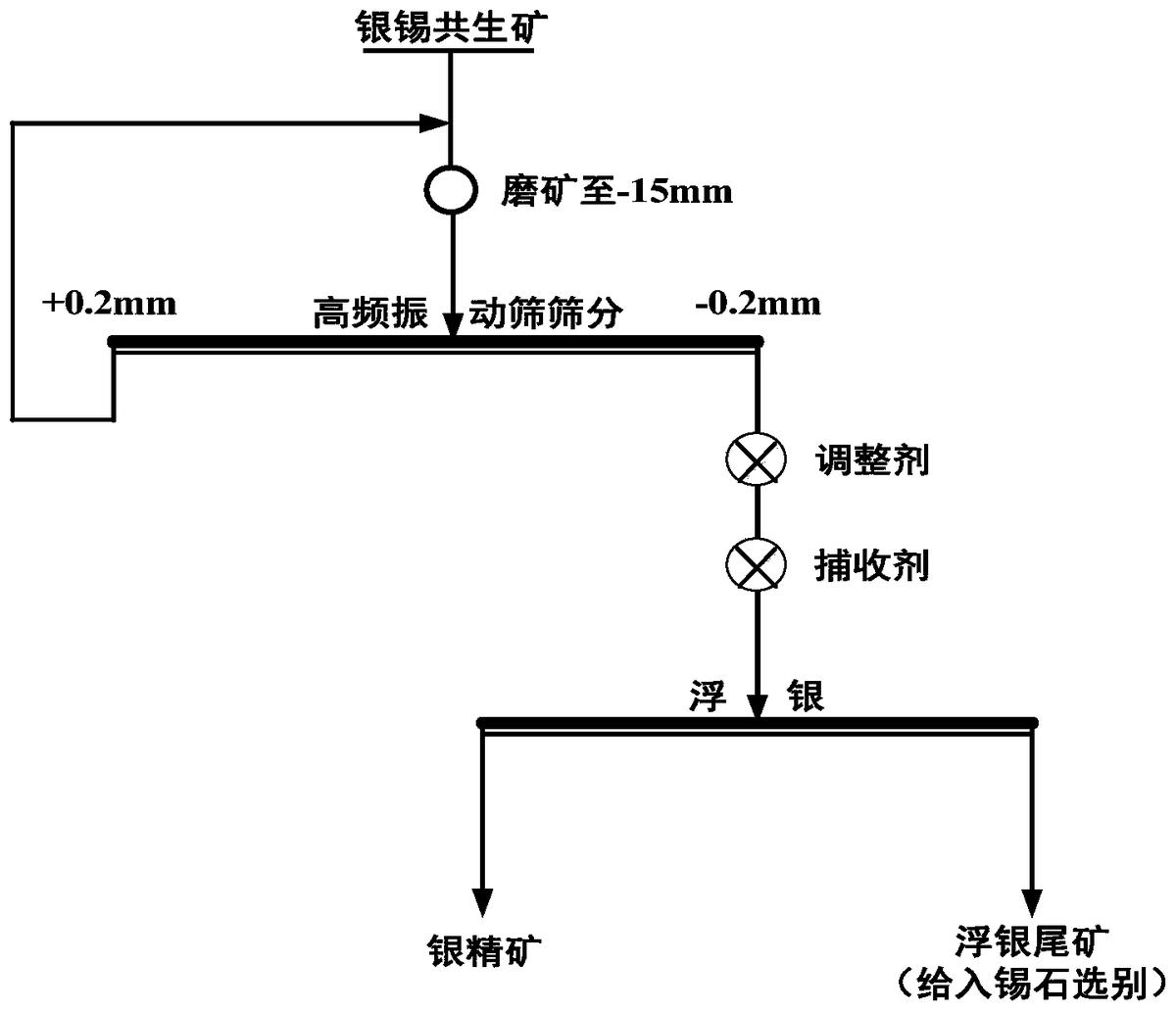 一种从银锡共生矿中回收独立银矿物的方法